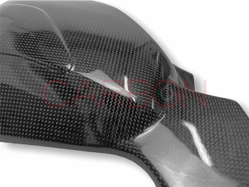 CARBON SWINGARM COVER DUCATI STREETFIGHTER V4 2020 / 2021 / 2022 / 2023